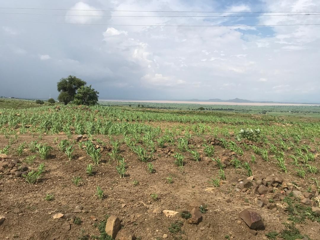 Strategies for Marketing Green Products in Rural Settings